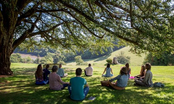 Finding Peace with Outdoor Meditation
